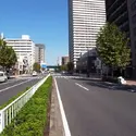 月島シティタワーのその他（外観、エントランス、前面の通り等）