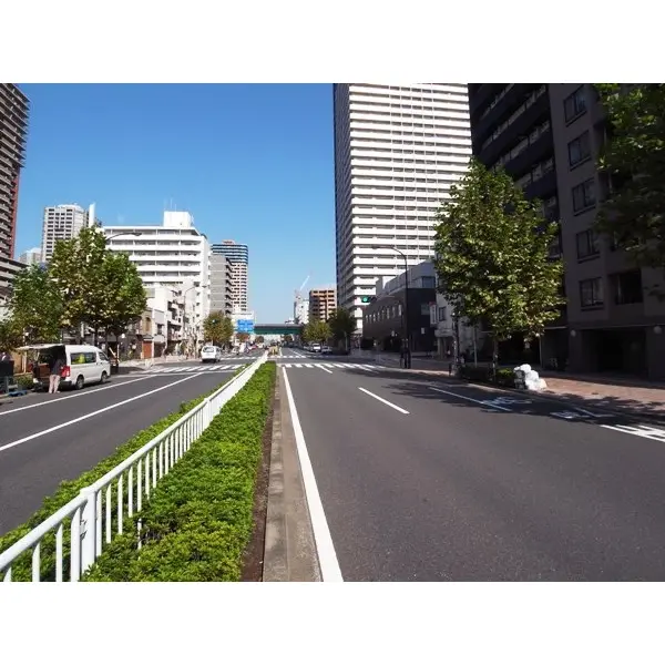 月島シティタワーのその他（外観、エントランス、前面の通り等）
