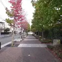 パークシティ弦巻イーストレジデンスのその他（外観、エントランス、前面の通り等）