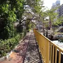ユニハイツ勝どきのその他（外観、エントランス、前面の通り等）