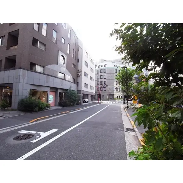 パレスサイド三番町のその他（外観、エントランス、前面の通り等）