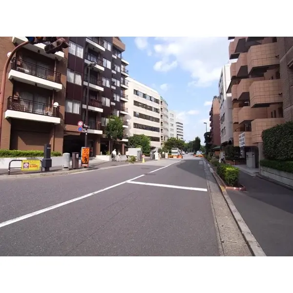 番町千鳥ヶ淵アビタシオンのその他（外観、エントランス、前面の通り等）