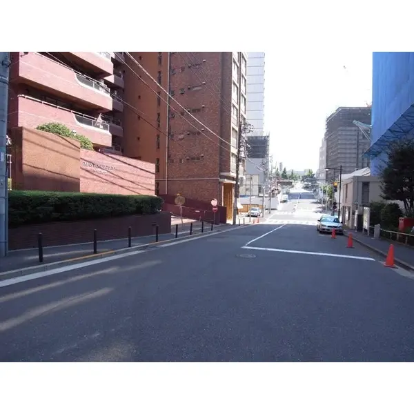 パレロワイヤル永田町のその他（外観、エントランス、前面の通り等）