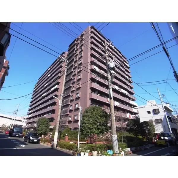 コスモ住吉扇橋の外観
