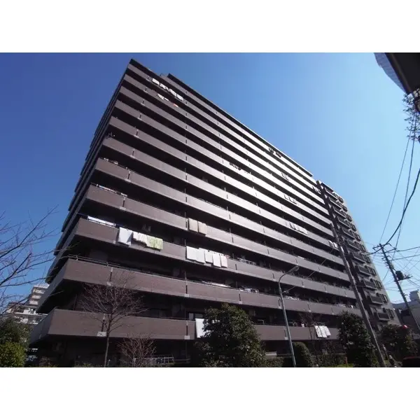 コスモ住吉扇橋のその他（外観、エントランス、前面の通り等）