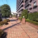 コスモ住吉扇橋のその他（外観、エントランス、前面の通り等）