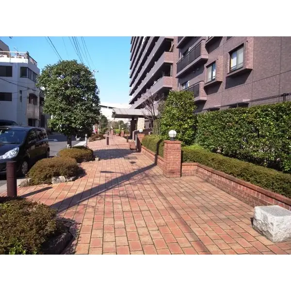 コスモ住吉扇橋のその他（外観、エントランス、前面の通り等）