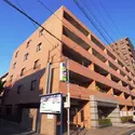 コスモ西大島ロイヤルフォルムの外観