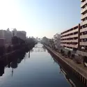 コスモ西大島ロイヤルフォルムのその他（外観、エントランス、前面の通り等）