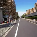 ミディオンセンターレジデンスのその他（外観、エントランス、前面の通り等）