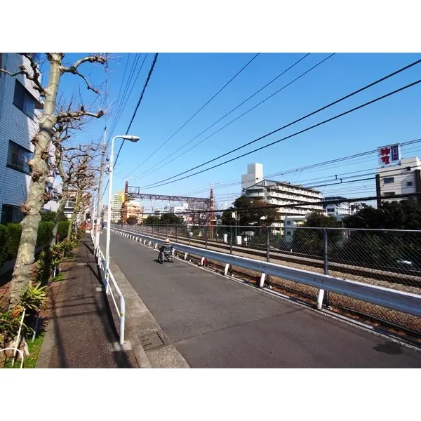 鹿島山王ヒルズのその他（外観、エントランス、前面の通り等）