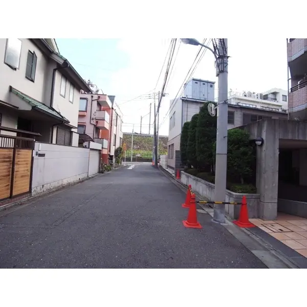 ローザリックス南雪谷のその他（外観、エントランス、前面の通り等）