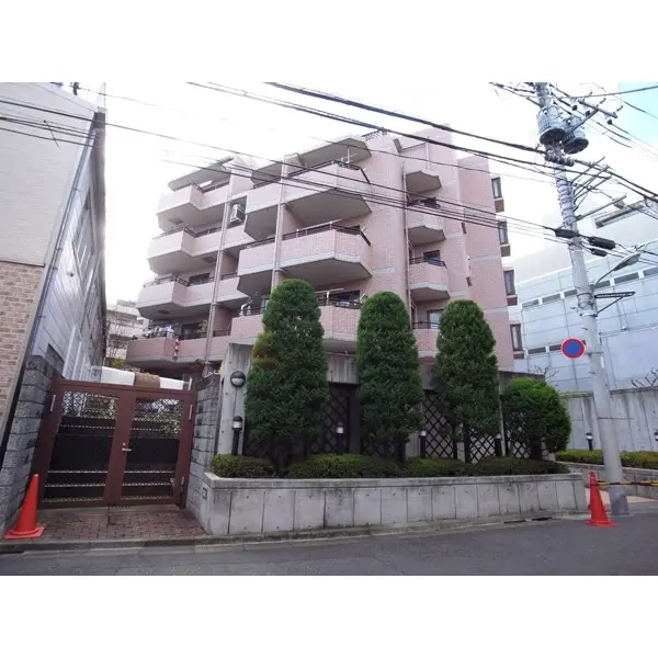 ローザリックス南雪谷のその他（外観、エントランス、前面の通り等）