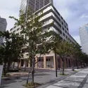 アーバンドックパークシティ豊洲コートCの外観