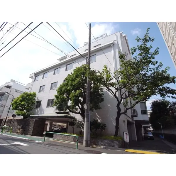 小田急麹町マンションのその他（外観、エントランス、前面の通り等）