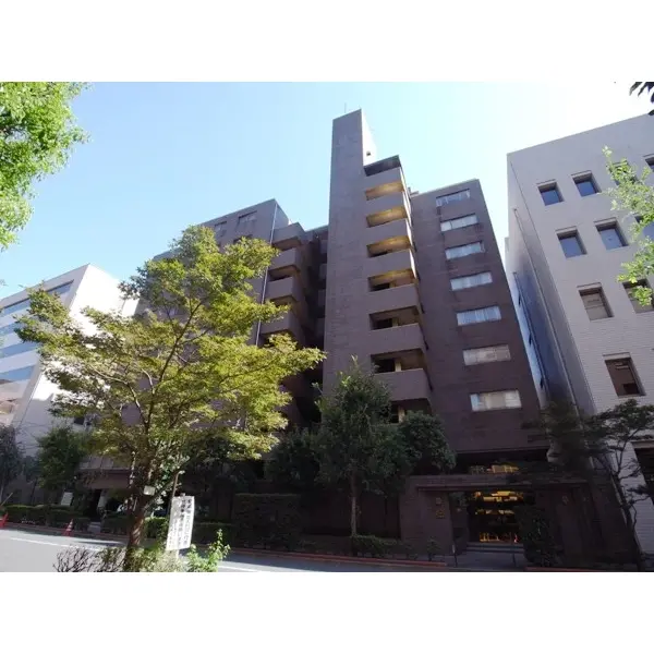 グランドメゾン六番町のその他（外観、エントランス、前面の通り等）