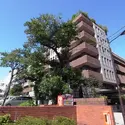 ザ・ドチェスター六番町の外観