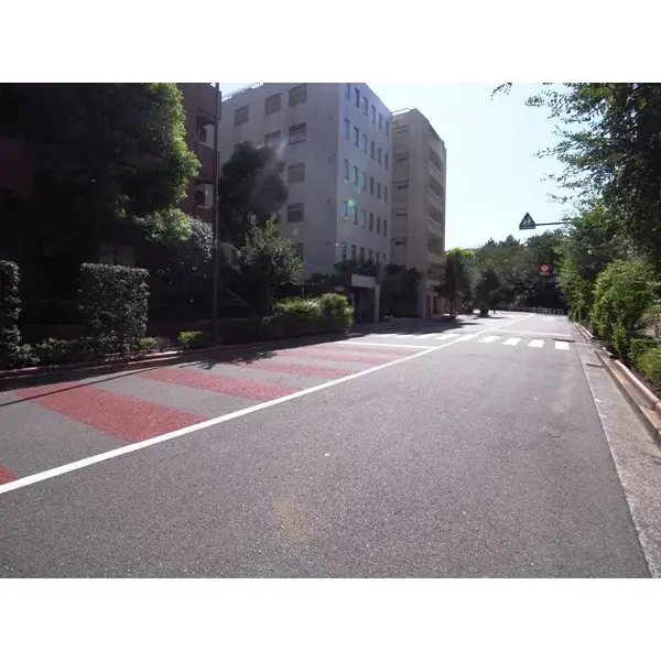 パレロワイヤル六番町のその他（外観、エントランス、前面の通り等）