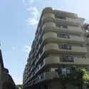 その他外観