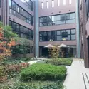 中庭