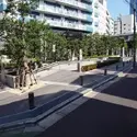 シティタワー新宿新都心のその他（外観、エントランス、前面の通り等）