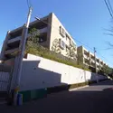 グランシュテル杉並善福寺川公園のその他（外観、エントランス、前面の通り等）