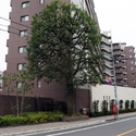 その他外観