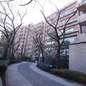 山王ガーデンハイツのその他（外観、エントランス、前面の通り等）