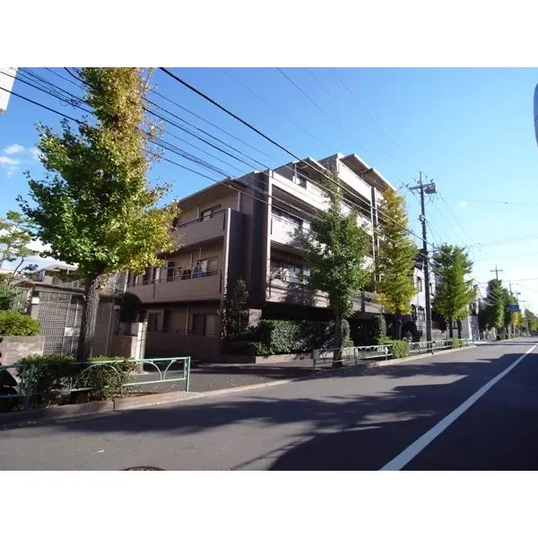 シーダム等々力ウエストのその他（外観、エントランス、前面の通り等）