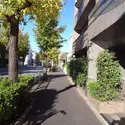 シーダム等々力ウエストのその他（外観、エントランス、前面の通り等）