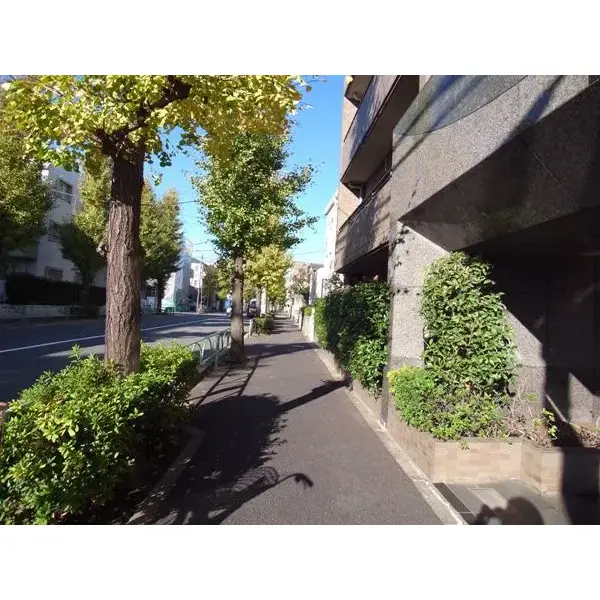 シーダム等々力ウエストのその他（外観、エントランス、前面の通り等）