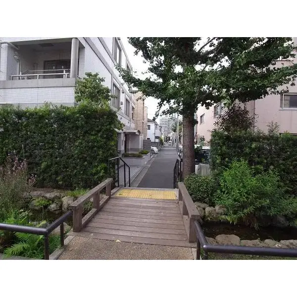 センチュリーハイツ三宿のその他（外観、エントランス、前面の通り等）