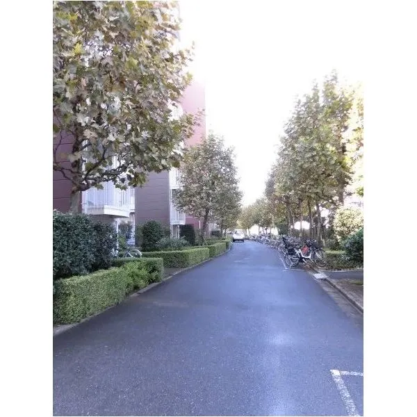敷地内通路