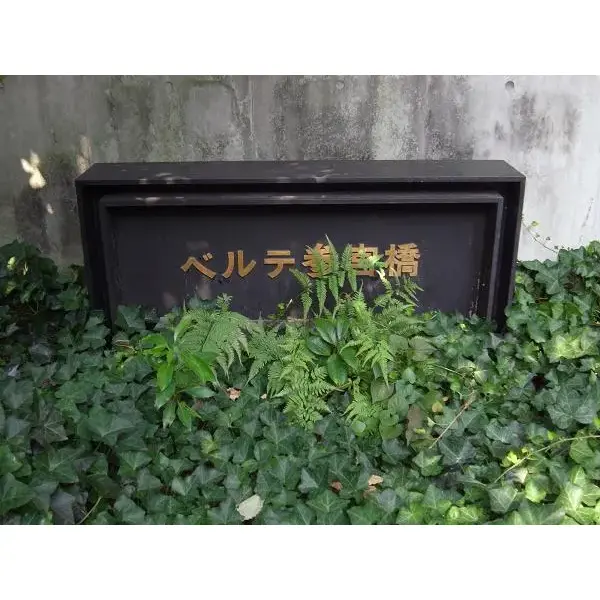 ベルテ参宮橋のその他（外観、エントランス、前面の通り等）