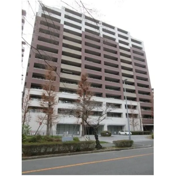その他外観