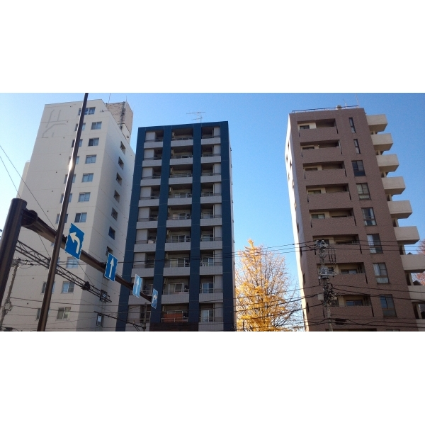 その他外観