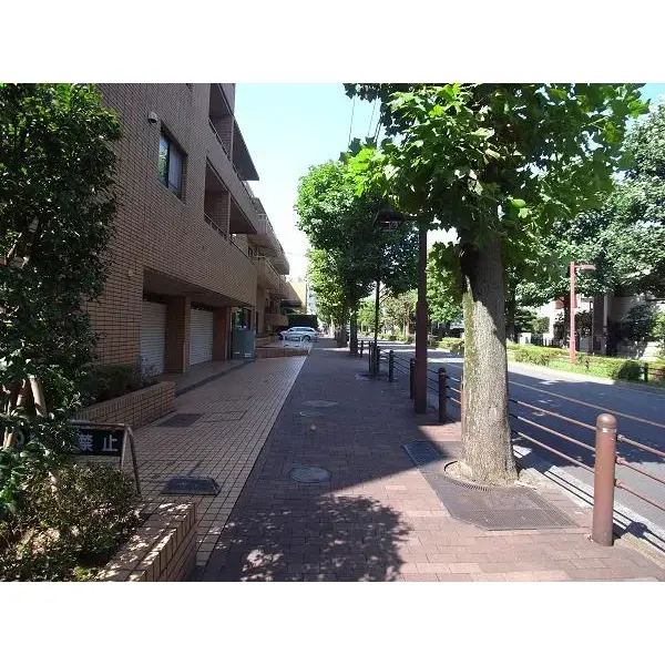 アピカ赤堤のその他(外観、エントランス、前面の通り等)