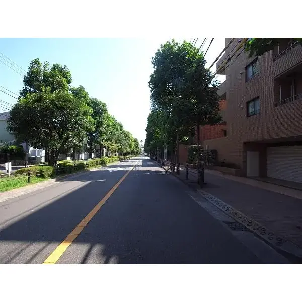 アピカ赤堤のその他(外観、エントランス、前面の通り等)