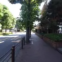 ヴェルビュ赤堤のその他（外観、エントランス、前面の通り等）