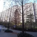 ヒルズ久が原参番館のその他（外観、エントランス、前面の通り等）