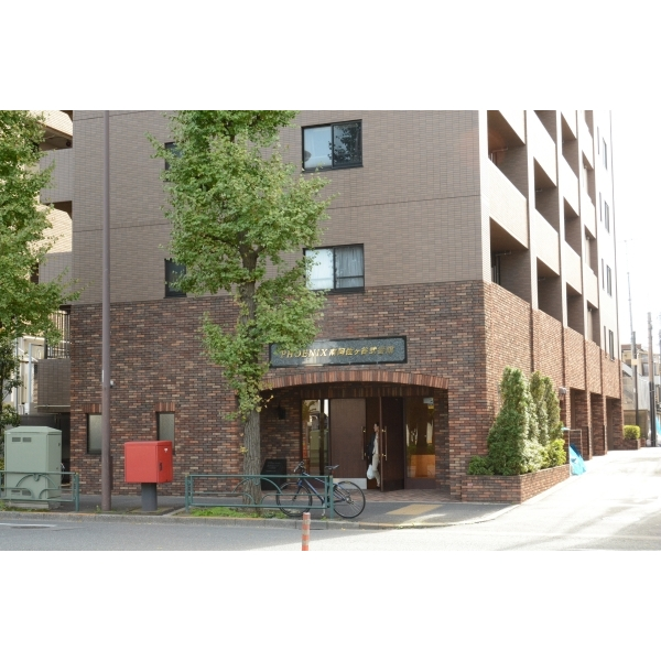 その他外観