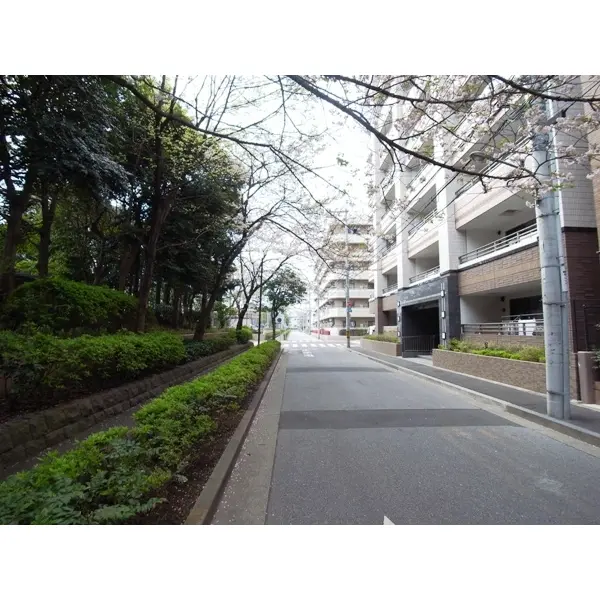 南葛西グリーンホームズ5のその他(外観、エントランス、前面の通り等)