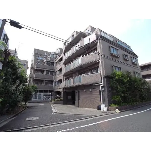 マートルコート代々木公園のその他（外観、エントランス、前面の通り等）
