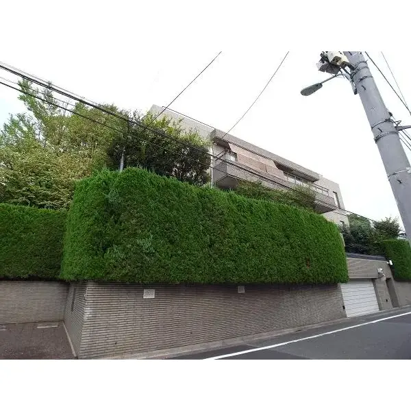 西原パークマンションのその他（外観、エントランス、前面の通り等）