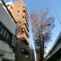 その他外観