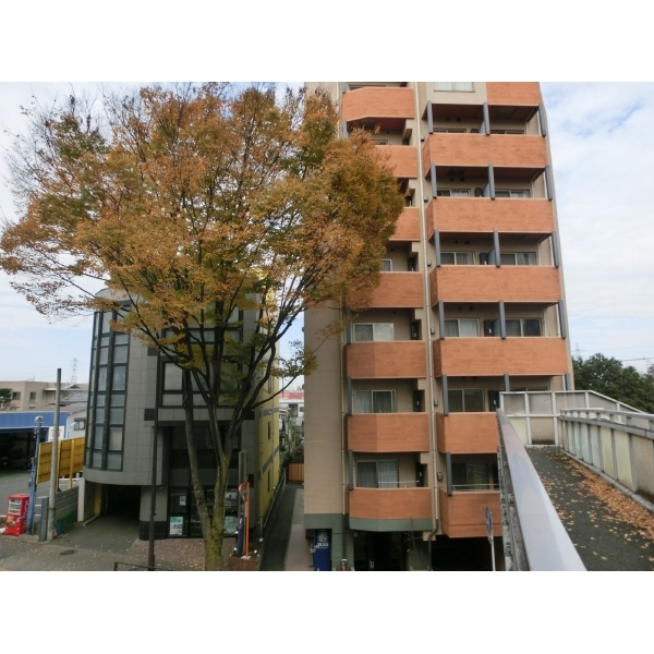 その他外観
