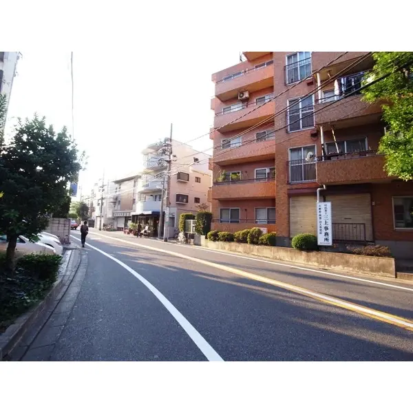 ライオンズマンション学芸大学のその他（外観、エントランス、前面の通り等）