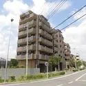 その他外観