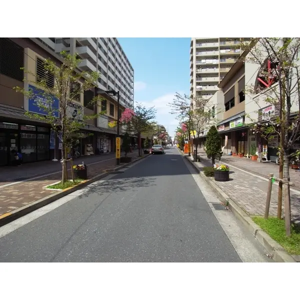 小松川グリーンタウンリバーウエストA館のその他(外観、エントランス、前面の通り等)