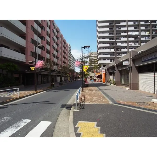 小松川グリーンタウンリバーウエストD館のその他（外観、エントランス、前面の通り等）